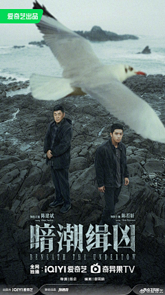 群像叙事合租时代
